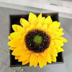 Colar Meu Raio de Sol  + Caixa Girassol